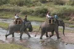 Elephant forest explorer, vientiane 2 days