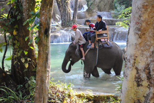Tad Sae Waterfalls & Elephant Riding 1/2 Day Tour